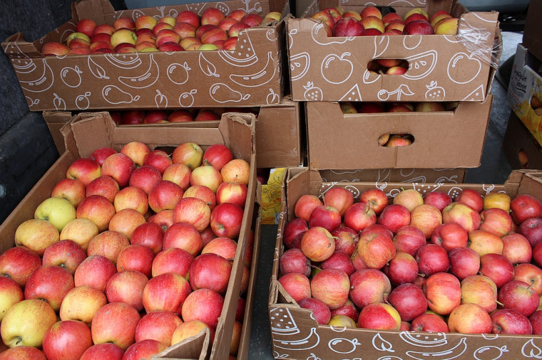 Сотрудники Отделения СФР по Курской области передали военнослужащим пасхальные куличи и 200 килограммов обоянских яблок.